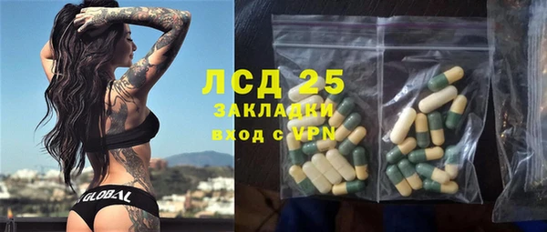 spice Богородицк