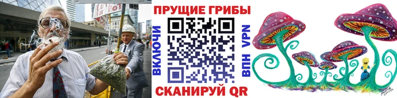 Галлюциногенные грибы Cubensis  Гремячинск 